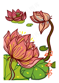 三八妇女节荷花荷叶手绘装饰