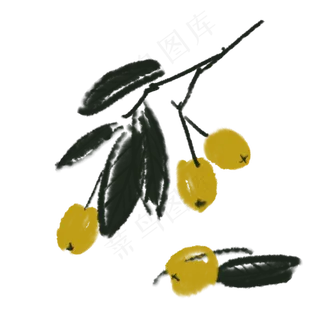 中国风古风中国画枇杷组合