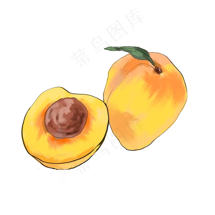 酸甜的杏子水果插图(1750X1750(DPI:350))psd模版下载