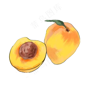 酸甜的杏子水果插图