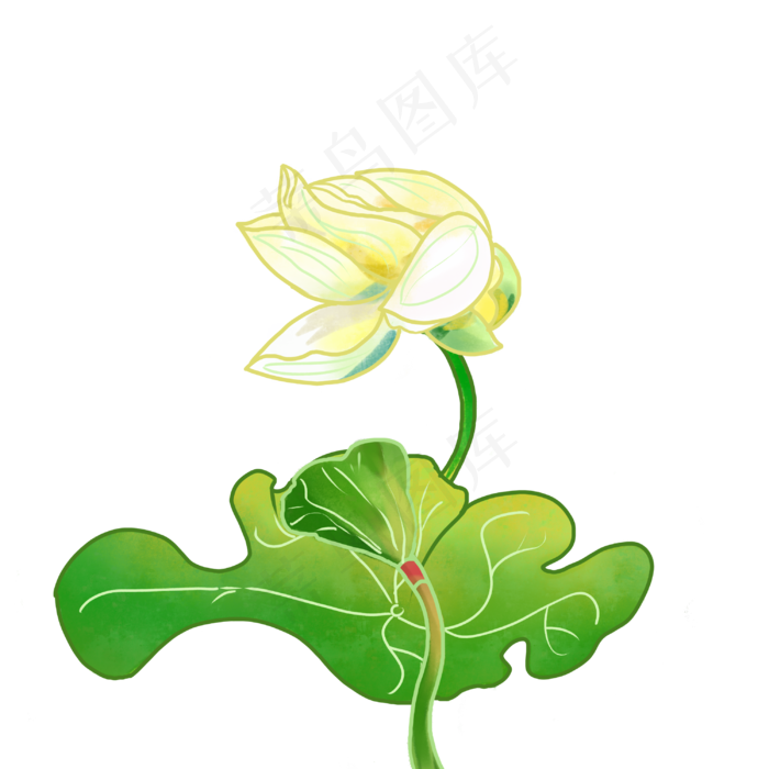 夏季荷花(3000X3000(DPI:299))psd模版下载