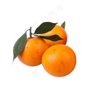 橙子（png免抠）