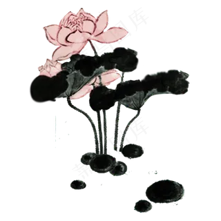 中国风荷花水墨画