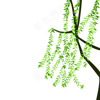 清明节漂浮柳树漂浮柳枝