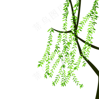 清明节漂浮柳树漂浮柳枝