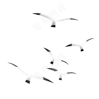 手绘一群大雁免抠图