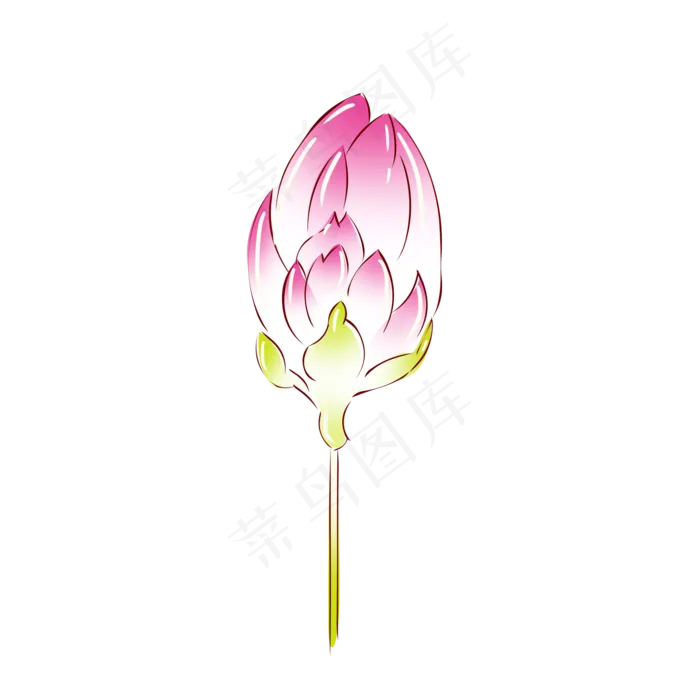 手绘花小清新植物粉色荷花花苞(2000X2000(DPI:300))psd模版下载