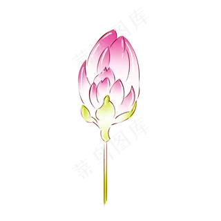 手绘花小清新植物粉色荷花花苞