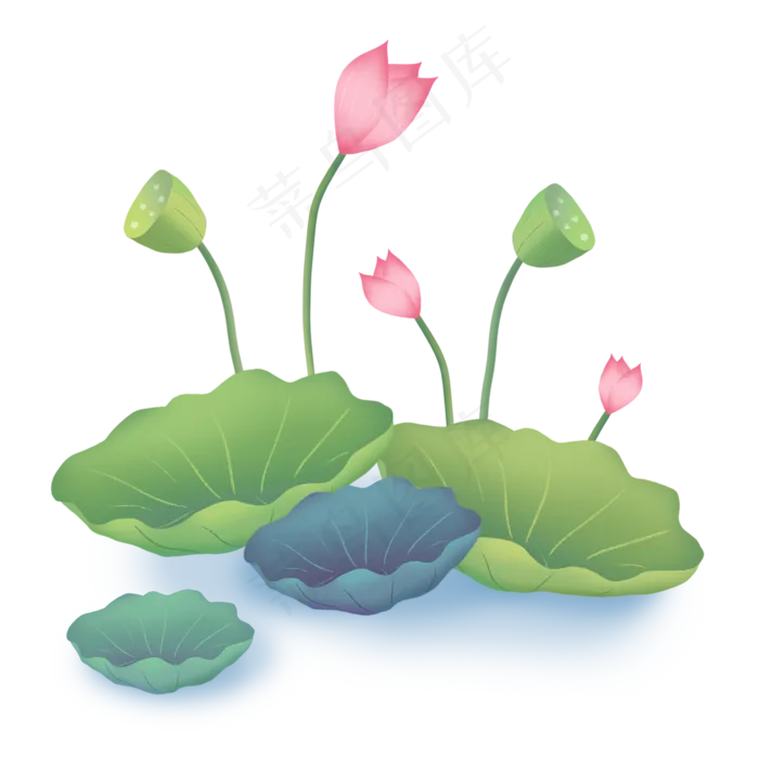 荷花水中植物荷叶莲蓬,免抠元素(2362*2362px 300 dpi )psd模版下载
