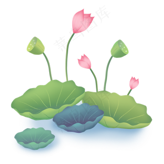 荷花水中植物荷叶莲蓬,免抠元素