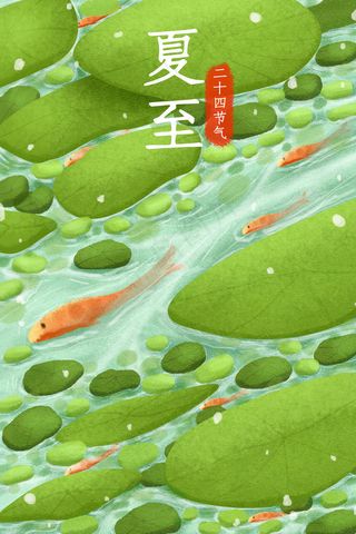 夏天夏季夏至二十四节气配图