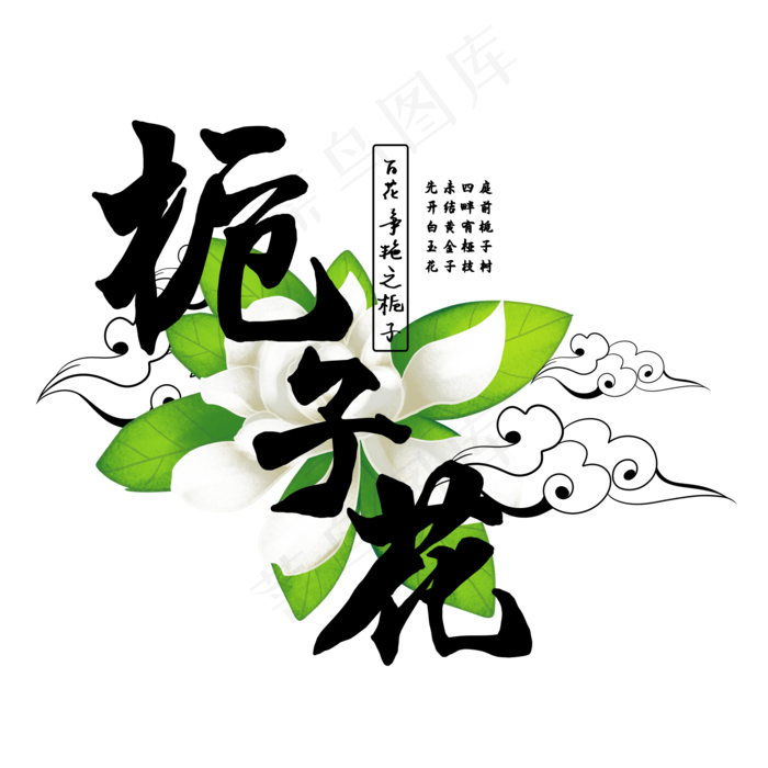 古风百花系列之栀子花