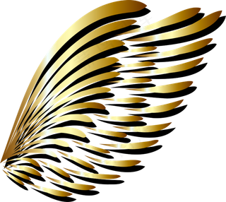 金色的翅膀,免抠元素