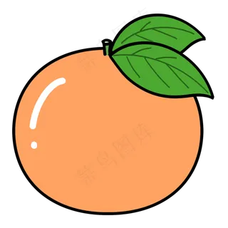 手绘新鲜的一个大柚子