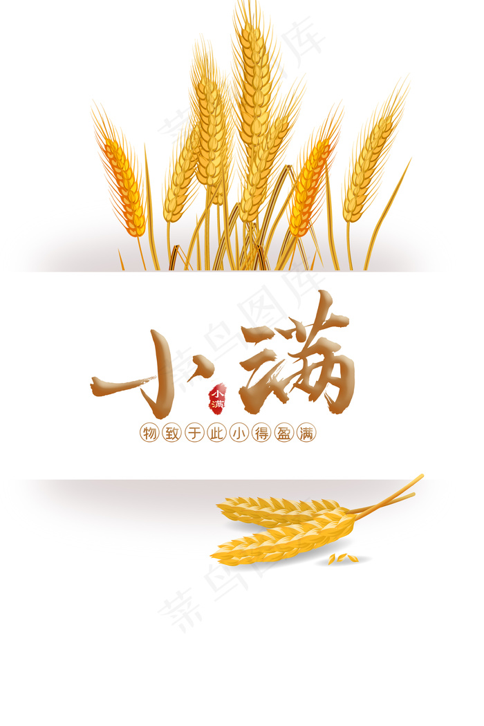 简约24节气小满麦穗背景海报