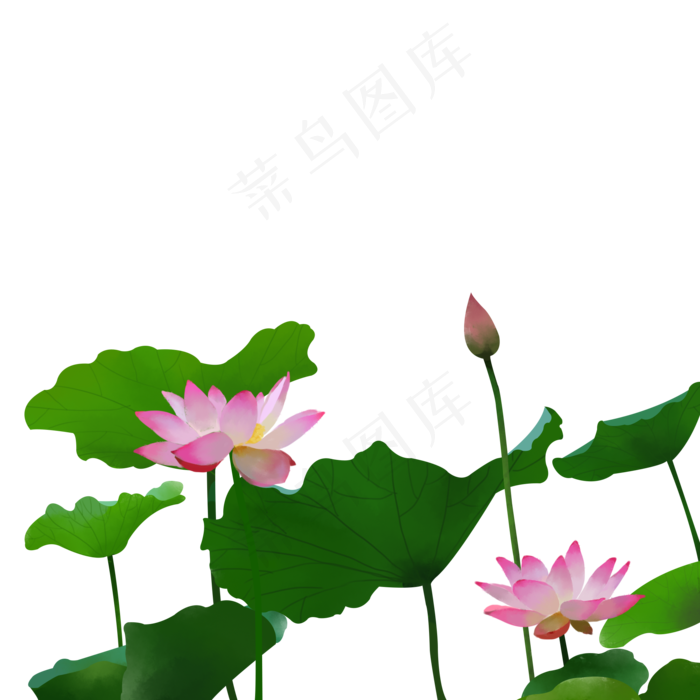 清新荷花免费下载(2000X2000(DPI:300))psd模版下载