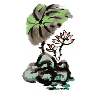 夏天清凉芙蓉手绘水墨