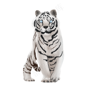 可爱动物白虎万兽之王,免抠元素