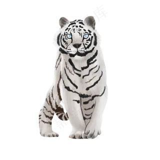 可爱动物白虎万兽之王,免抠元素
