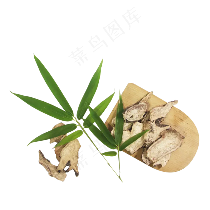 赤芍中药药材,免抠元素(3333*3333px 300 dpi )