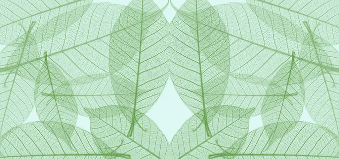 树叶底纹素材图片