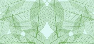 树叶底纹素材图片