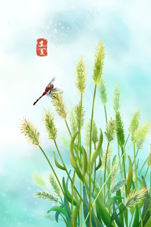 二十四节气之立夏