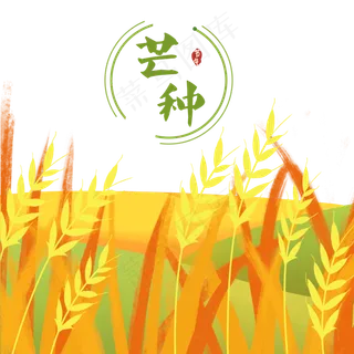 芒种节气稻谷元素