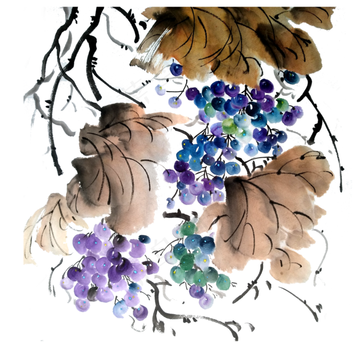 葡萄提子PNG水果鲜果水墨国画(3000X3000(DPI:300))psd模版下载