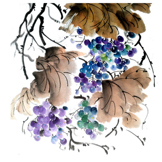 葡萄提子PNG水果鲜果水墨国画