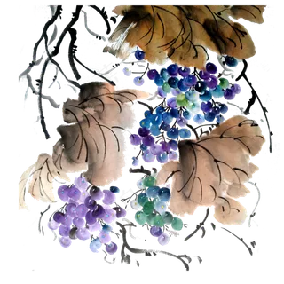 葡萄提子PNG水果鲜果水墨国画 葡萄提子PNG水果鲜果水墨国画