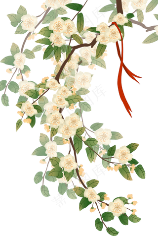 古风花花枝迎春花