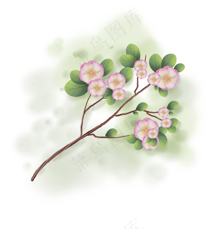 春天古风樱花树枝