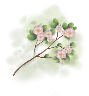 春天古风樱花树枝