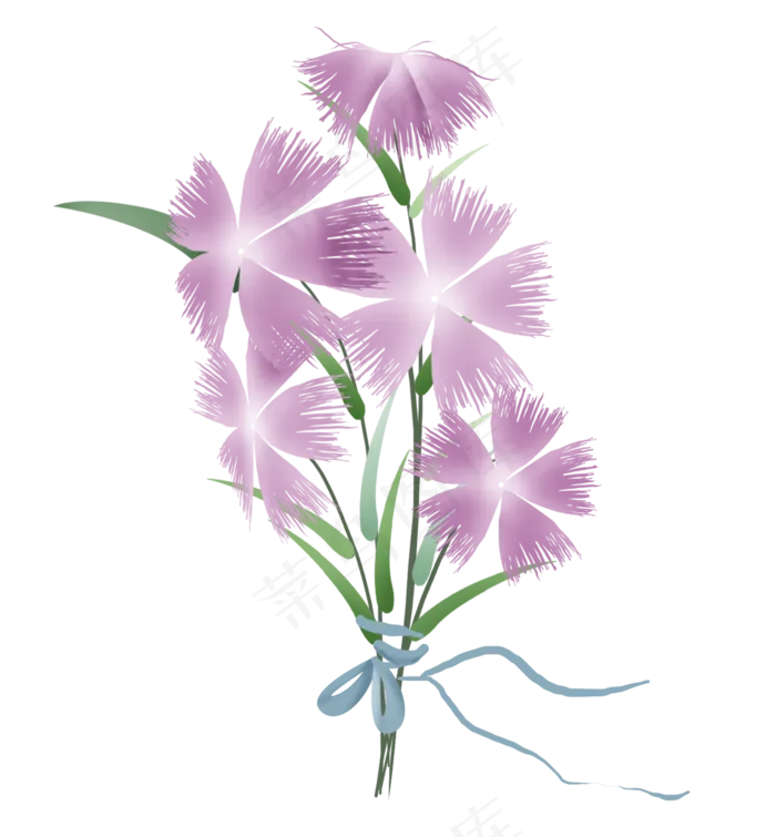 淡紫色瞿麦花花束(2000X2158(DPI:299))psd模版下载