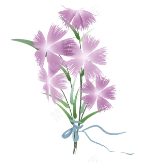 淡紫色瞿麦花花束 淡紫色瞿麦花花束