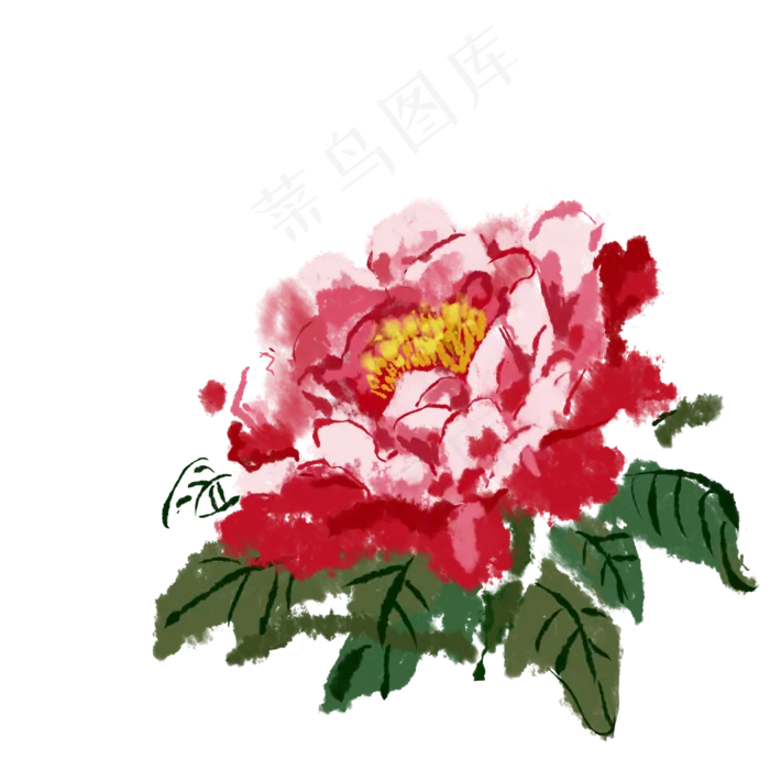 芍药科植物科属绿植牡丹花(2362X2362(DPI:300))psd模版下载