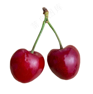 大樱桃水果