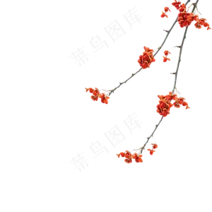 中国风红色干花树枝