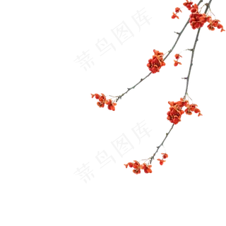 中国风红色干花树枝