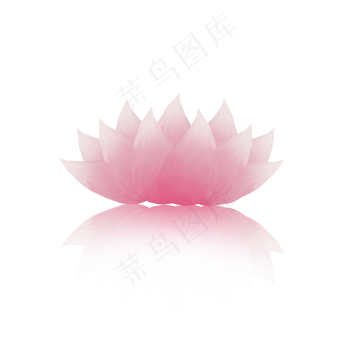 荷花通用词粉色荷花(2000X2000(DPI:300))psd模版下载