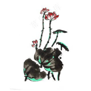 荷花荷叶水墨手绘