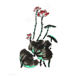 荷花荷叶水墨手绘