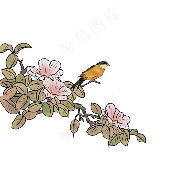 国画水墨蜂鸟红花花鸟PNG春,免抠元素(3000X3000(DPI:300))psd模版下载