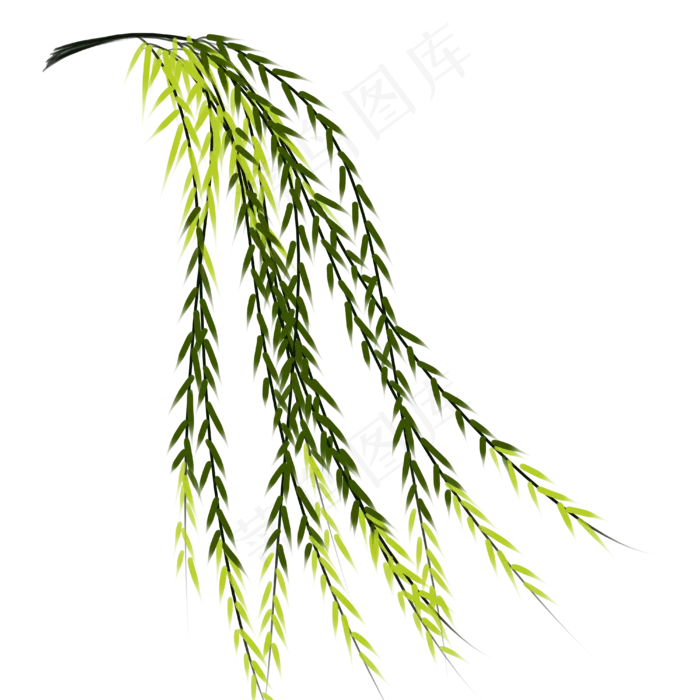 春天柳树枝发新芽清明节上行(4000X4000(DPI:150))psd模版下载