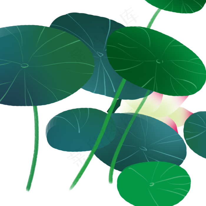 绿色创意植物荷叶元素(2000X2000(DPI:300))psd模版下载