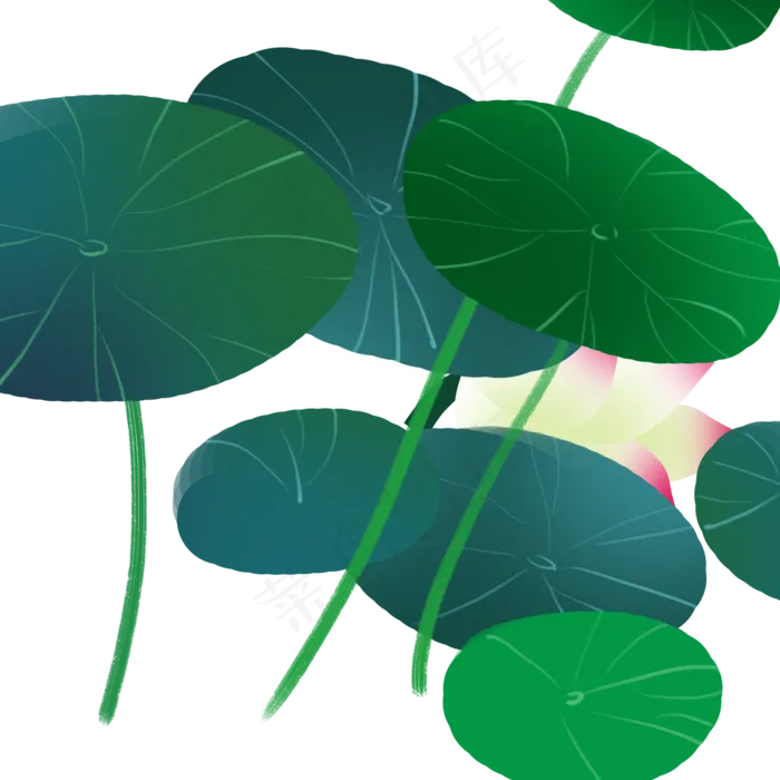 绿色创意植物荷叶元素(2000X2000(DPI:300))psd模版下载