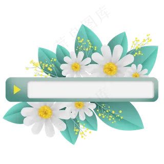 白色小菊花搜索框