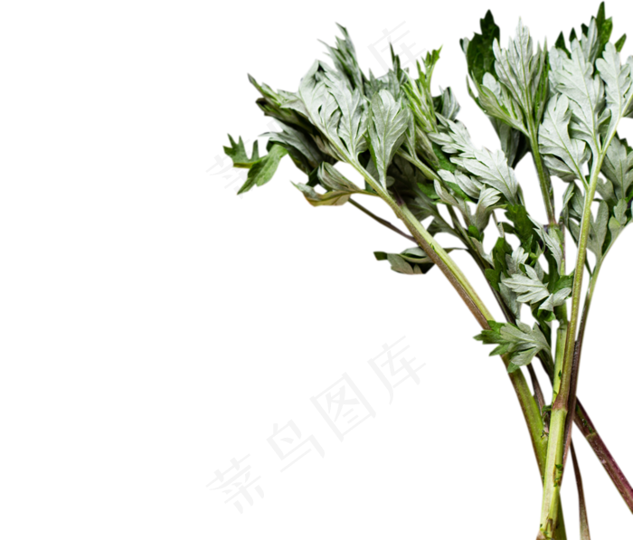 无公害的艾叶,免抠元素