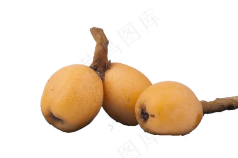 三个枇杷果精品鲜美